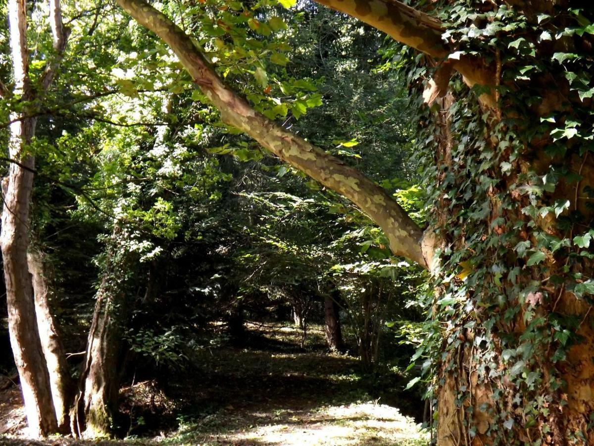 Domaine Pastel Bed & Breakfast