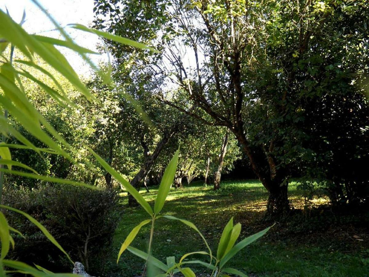 Bed & Breakfast Domaine Pastel