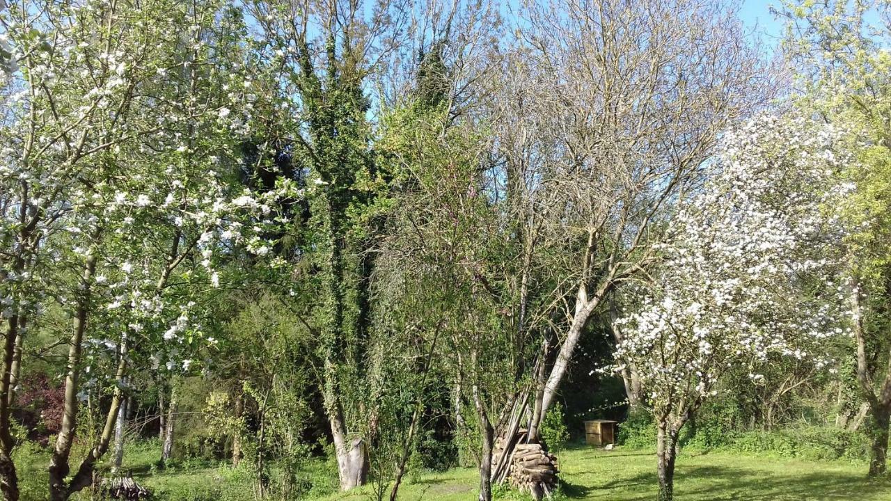 Bed and breakfast Domaine Pastel