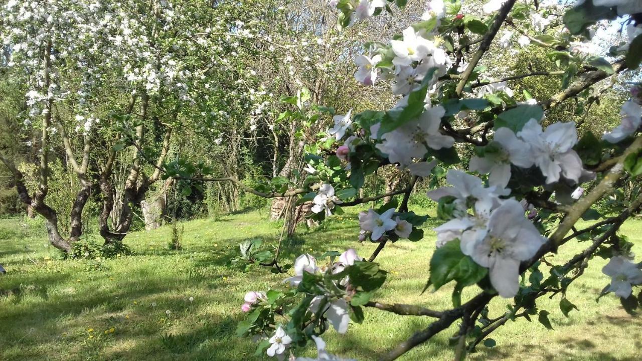 Domaine Pastel Bed & Breakfast